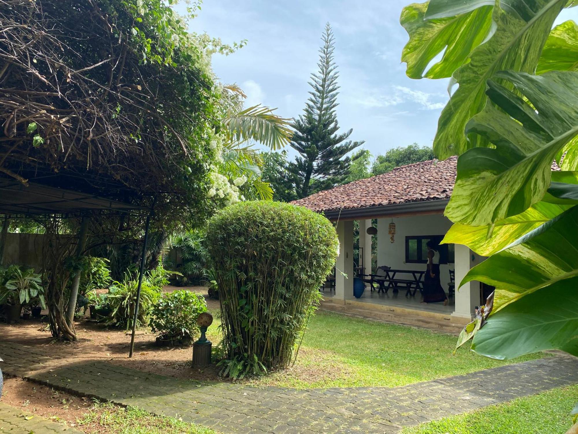 Tangalle Green House Exterior foto