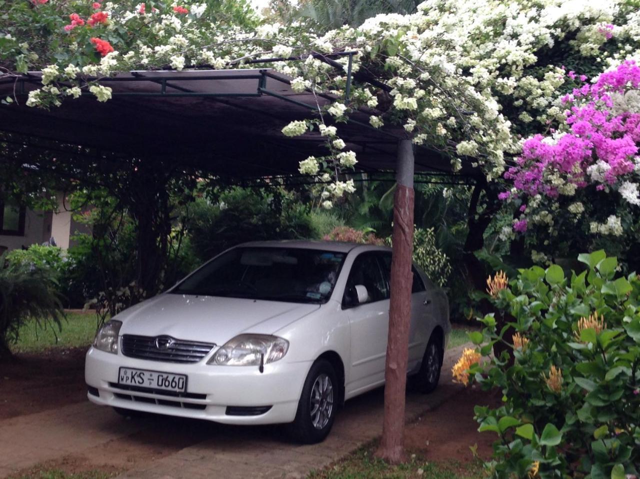 Tangalle Green House Exterior foto
