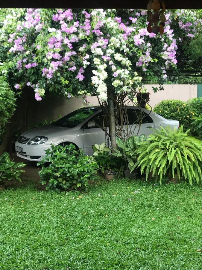 Tangalle Green House Exterior foto